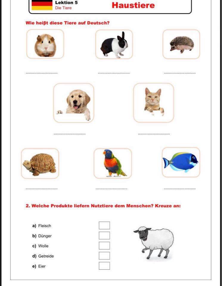 Kinderwelt German Activity Book – German learning book for kids, additional view | Kinderwelt Akademie